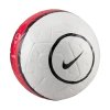 Thumbnail Pelota Nike Academy Total 90 Ball0